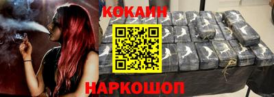 крисы Можга