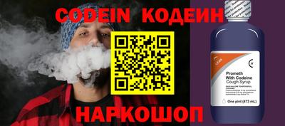 крисы Можга