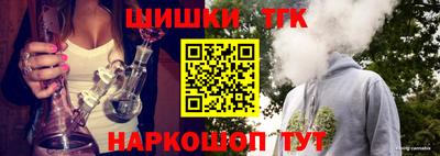 крисы Можга