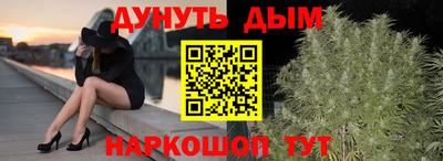 крисы Можга