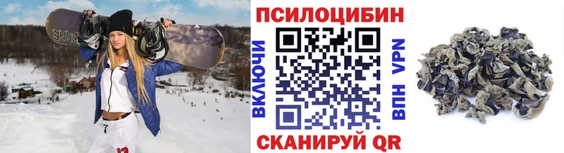 Галлюциногенные грибы Psilocybe Уварово