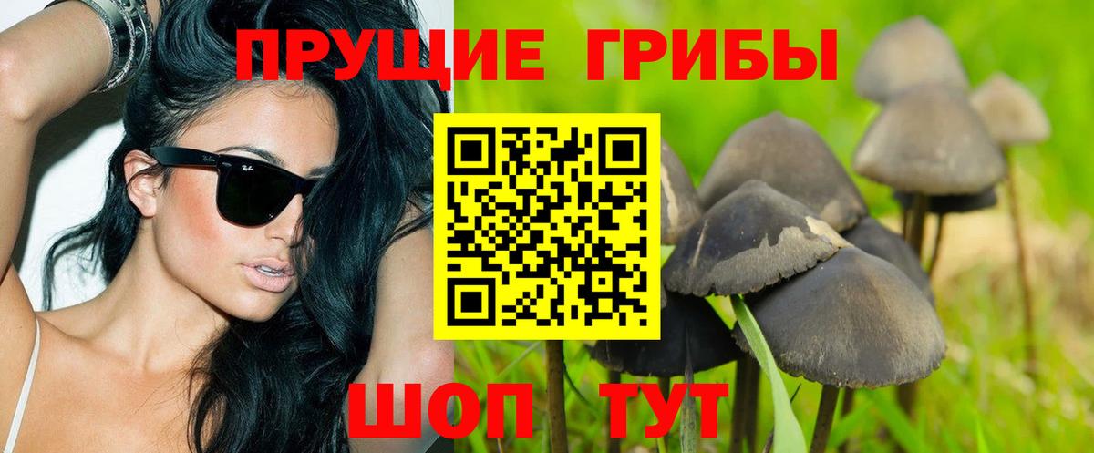 Галлюциногенные грибы мухоморы  Галлюциногенные грибы ЛСД  Вход с VPN  Уварово 